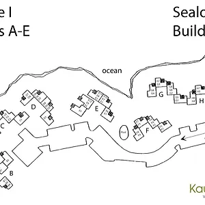 https://sealodge-g8-oceanfront-views-and-top-floor-privacy-pool.hotelsinhawaii.org